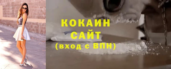 кокс Арсеньев
