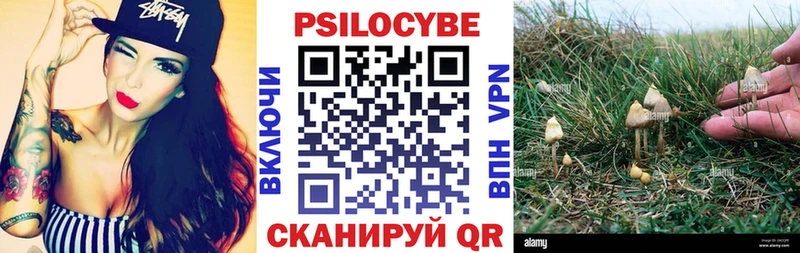 Псилоцибиновые грибы прущие грибы  цены   Серов 